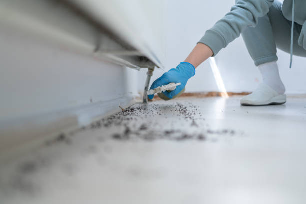 Best Pest Prevention Services  in Tecumseh, OK